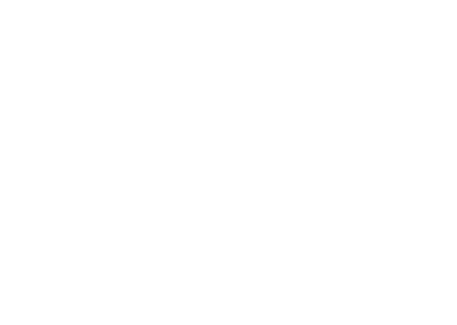 Lomo Lomo